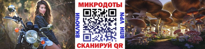 наркошоп  Грайворон  Псилоцибиновые грибы MAGIC MUSHROOMS 