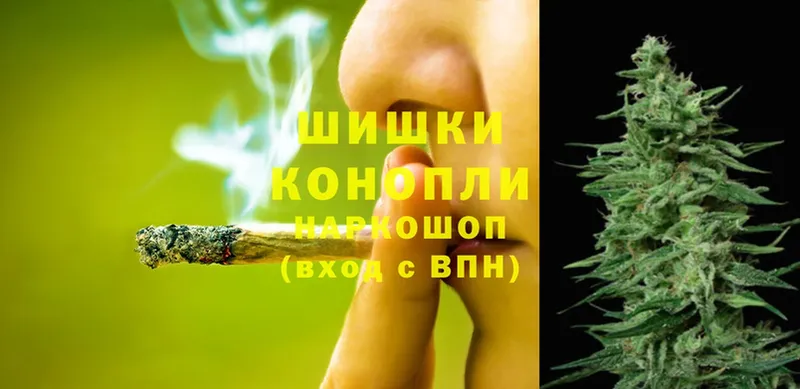 где купить наркотик  Грайворон  Бошки Шишки THC 21% 